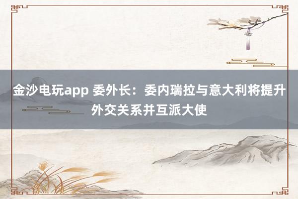 金沙电玩app 委外长：委内瑞拉与意大利将提升外交关系并互派大使