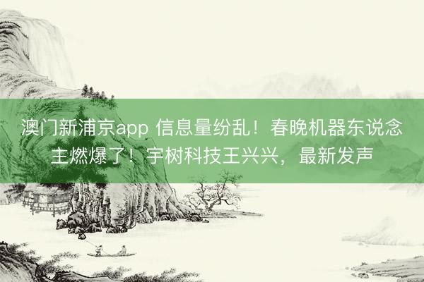 澳門新浦京app 信息量紛亂！春晚機(jī)器東說(shuō)念主燃爆了！宇樹科技王興興，最新發(fā)聲