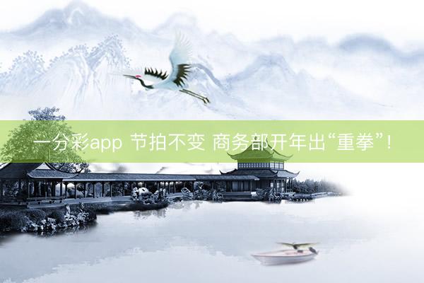 一分彩app 節(jié)拍不變 商務(wù)部開年出“重拳”！