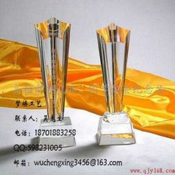 上海羽毛比賽獎杯制作,上海水晶獎杯廠家,上海水晶獎杯定做,上海水晶獎杯公司供應商