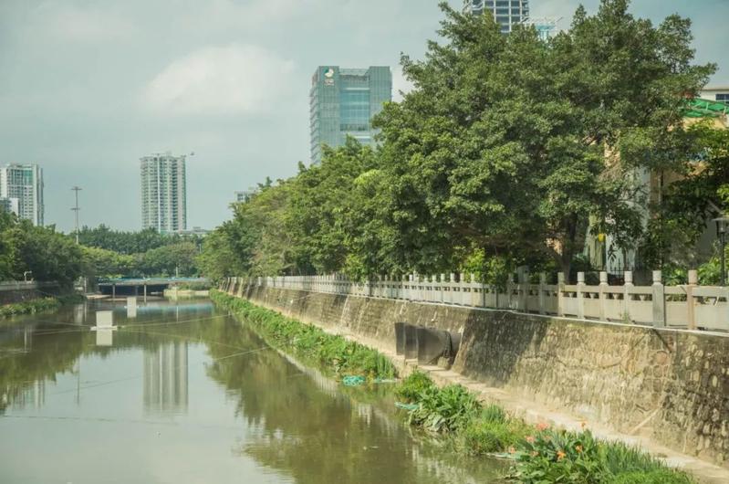 寶安水經注&middot;新安 | 堤岸拂綠、花紅臨水,河流讓城市更靈動