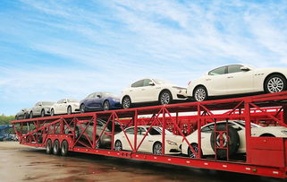 江門市運車物流哪家好 轎車托運