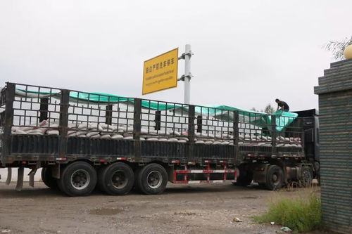 重磅 藍牌貨車營運證和從業資格證將取消,部分司機告別掛靠公司